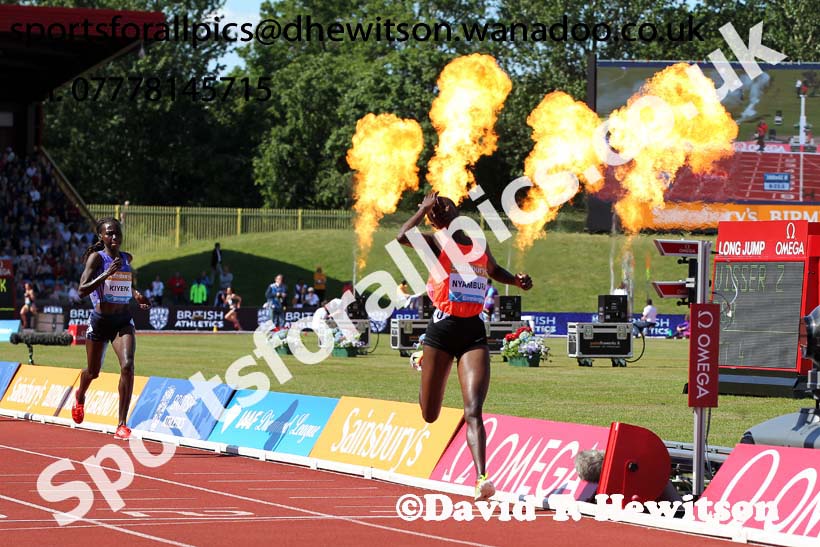Womens 3000 metres steeplechase, IAAF Diamond League, Birmingham. Photo: David T. Hewitson/Sports for All Pics